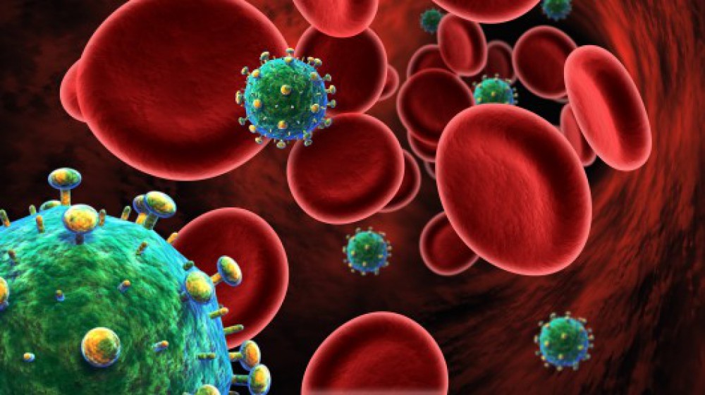 Desenho de células do corpo humano em contato com vírus HIV | Como o vírus HIV age?